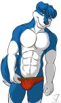  aj_the_canaan_fox anthro blue_eyes briefs canid canine canis clothing domestic_dog husky khensu male mammal nordic_sled_dog smile smirk solo spitz tugging_clothing underwear 