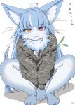  2023 4shi_(artist) 5_fingers 5_toes ahoge anthro barefoot bifurcated_tail blue_body blue_fur blue_hair blush camo camo_clothing camo_print claws clothing countershading crouching digital_media_(artwork) domestic_cat feet felid feline felis finger_claws fingers fluffy fur girly hair heterochromia hi_res jacket japan_air_self-defense_force japanese_text kemono long_hair looking_at_viewer male male_anthro mammal multicolored_body multicolored_fur neck_tuft omaneko_(jasdf) pattern_clothing pupils red_eyes slit_pupils solo tail text toes topwear translation_request tuft two_tone_body two_tone_fur whiskers white_body white_fur yellow_eyes 