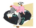  anthro australian_shepherd canid canine canis claws clothing domestic_dog erection genitals herding_dog honda_civic hoodie jayfrid kiba_aussie knot male male/male mammal pantsless pastoral_dog pawpads penis pink_clothing pink_hoodie pink_topwear sheepdog sitting_on_car smug solo spots topwear 