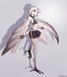  absurd_res anthro avian avian_feet beak bird blue_eyes bottomwear clothed clothing crop_top feathered_arms feathers female footwear freckles hi_res hotpants long_legs lyra_(w4g4) midriff on_one_leg shadow shirt shorts simple_background skinny slim smile solo standing sundownerart tail_feathers tight_clothing toeless_footwear topwear white_body white_feathers 
