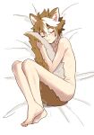  1boy :3 animal_ears blush brown_hair closed_eyes dog_boy dog_ears dog_tail genshin_impact gorou_(genshin_impact) hugging_own_tail hugging_tail male_focus multicolored_hair nude potti-p sleeping solo streaked_hair tail two-tone_hair white_hair 