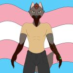  absurd_res anthro arm_tattoo bottomwear canid canine caxy_creations clothed clothing fox hi_res lgbt_pride looking_at_viewer male mammal pants pride_color_background pride_colors shirt simple_background smile solo tattoo topwear trace_parker trans_(lore) transgender_pride_colors 