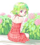  1girl aged_down back bare_shoulders commentary_request dress flower from_behind green_hair kazami_yuuka looking_at_viewer looking_back outdoors plaid plaid_dress red_dress red_eyes s-a-murai short_hair sitting sleeveless sleeveless_dress smile solo touhou 