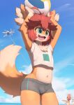  2023 anthro anthro_focus arca_(arcadius0505) arcadius0505 ball bodily_fluids bottomwear canid canine clothed clothing cloud crop_top cute_fangs day digital_media_(artwork) fox fur group hair happy hi_res holding_object kemono male male_anthro male_focus mammal midriff navel open_mouth open_smile outside shirt shorts sky smile solo_focus sweat sweatdrop tongue topwear trio volleyball_(ball) young 