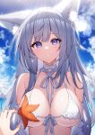  1girl 1other animal_ear_fluff animal_ears azur_lane bare_shoulders bikini blue_sky blurry blurry_background blush breasts cleavage cloud cloudy_sky collarbone commentary_request day depth_of_field front-tie_bikini_top front-tie_top grey_hair hair_between_eyes hand_up highres horizon large_breasts looking_at_viewer ocean outdoors purple_eyes shinano_(azur_lane) shinano_(dreamy_white_sands)_(azur_lane) sky solo_focus starfish swimsuit t@ke-g tears upper_body water white_bikini 