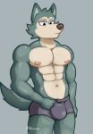  2023 abs absurd_res anthro artist_name athletic athletic_anthro athletic_male baxter7020 beastars biceps big_bulge black_eyes boxer_briefs boxer_briefs_only bulge canid canine canis clothed clothing digital_drawing_(artwork) digital_media_(artwork) fluffy fluffy_tail fur grey_background grey_body grey_fur hi_res legoshi_(beastars) long_tail male mammal multicolored_body multicolored_fur muscular muscular_anthro muscular_male navel nipples pecs signature simple_background snout solo tail tan_body tan_fur topless topless_anthro topless_male two_tone_body two_tone_fur underwear underwear_only v-cut wolf 