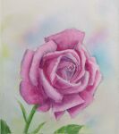  flower highres leaf naoy_watercolor no_humans original painting_(medium) plant red_flower red_rose rose still_life traditional_media watercolor_(medium) 