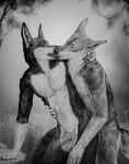  absurd_res anal anal_orgasm anal_penetration animal_genitalia animal_penis anthro balls black_nose blackie_wolf bodily_fluids butt canid canine canine_genitalia canine_penis canis claws cum cum_in_ass cum_inside cum_while_penetrated day detailed_background doggystyle duo ejaculation erection fellatio fluffy fluffy_butt fluffy_tail forest forest_background from_behind_position fur genital_fluids genitals grey_body grey_fur grin half-closed_eyes hi_res inside knot licking love lying male male/male male_penetrated male_penetrating male_penetrating_male mammal narrowed_eyes nature nature_background nude on_back open_mouth oral orgasm outside pawpads penetration penile penile_penetration penis penis_in_ass perineum plant presenting presenting_hindquarters presenting_penis raised_tail seductive sex smile submissive tail tongue tongue_out tree waux white_body white_fur wolf 