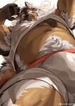  1boy abs absurdres animal_ear_fluff animal_ears armpit_hair armpit_hair_peek bara black_fur boogbogex boxers brown_eyes brown_fur bulge chest_hair disembodied_limb dog_boy dog_ears ear_down fang fang_out feet_out_of_frame fluffy foreshortening from_below furry furry_male giant giant_male grabbing haki_(boogbogex) hand_under_clothes highres large_bulge large_pectorals lifted_by_another looking_at_viewer male_focus male_underwear muscular muscular_male navel navel_hair nipples one_eye_closed orange_fur original pectoral_grab pectorals short_hair size_difference solo_focus stomach strongman_waist thick_eyebrows thick_thighs thighs underwear whiskers white_fur white_male_underwear yaoi 