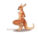  anthro breasts brown_body brown_fur claws crouching digitigrade discreet_user eyelashes female fur hi_res kangaroo looking_at_viewer macropod mammal marsupial nipples nude pointy_breasts slim solo 