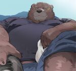  2023 anthro band-aid bandage bear belly big_belly bodily_fluids bottomwear brown_body brown_fur clothing fur iwbsb_kuma kemono male mammal overweight overweight_male shirt shorts solo sweat topwear 