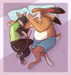  ambiguous_gender anthro bangs bed bottomwear buckteeth cat_tail clothed clothing domestic_cat duo felid feline felis furniture gammija hi_res inner_ear_fluff jonathan_sims lagomorph leporid long_ears mammal martin_blackwood notched_ear on_bed overweight overweight_anthro pants pillow plantigrade prick_ears rabbit scut_tail shirt short_tail sleeping t-shirt tail teeth the_magnus_archives topwear tuft whiskers 