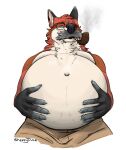  anthro belly big_belly canid canine clothed clothing eyewear facial_hair fox fur glasses green_eyes low-angle_view male mammal mature_anthro mature_male musclegut orange_body orange_fur overweight overweight_male partially_clothed sheppyduke simple_background smoke smoking_pipe solo white_background 