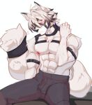  2023 abs anthro areola belt blush bodily_fluids bottomwear canid canine canis clothed clothing fur hair hi_res male mammal mihoyo mrkikoooo muscular muscular_anthro muscular_male pants shy solo sweat tail topless topless_anthro topless_male von_lycaon white_body white_fur wolf zenless_zone_zero 