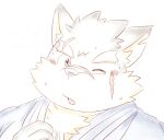  anthro asian_clothing blush bust_portrait canid canine canis clothing domestic_dog east_asian_clothing eyebrows fur grey_body grey_fur japanese_clothing kimono lifewonders looking_at_viewer low_res male mammal moritaka one_eye_closed portrait ren_izayoi scar solo thick_eyebrows tokyo_afterschool_summoners wink 