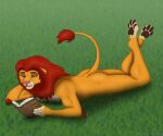  6:5 anthro book digital_media_(artwork) disney domestic_cat felid feline felis field furry grass hi_res invalid_tag lion lying male mammal pantherine paws plant reading simba_(disambiguation) the_lion_king 