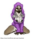  5_fingers anthro badger black_nipples black_nose black_pussy brown_eyes chaotikat claws clothed clothing female fingers fur genitals grey_body grey_fur grey_hair hair hi_res kneeling mammal mustelid musteline nipples pussy solo sweater text topwear url 