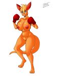  3:4 anthro boxing_gloves clothing female handwear hi_res kangaroo ko_(fabio_paulino) macropod mammal marsupial mastersaruwatari nude pouch_(anatomy) 