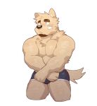  1boy abs absurdres animal_ears arm_hair bandaid bandaid_on_cheek bandaid_on_face bara blue_male_underwear blush boxer_briefs cropped_legs dog_boy dog_ears facial_hair furry furry_male goatee highres large_pectorals leg_hair looking_to_the_side lveink male_focus male_underwear muscular muscular_male nipples original pectoral_squeeze pectorals short_hair shy sideburns solo stomach sweatdrop thick_eyebrows thick_thighs thighs topless_male underwear underwear_only 