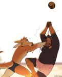  2023 anthro ball beach_volleyball black_body black_fur borkthunder canid canine canis clothing dante_(doberoo) dobermann domestic_dog duo fur hi_res hit kangaroo macropod male mammal marsupial overweight overweight_male pinscher sport swimwear tan_body tan_fur volleyball volleyball_(ball) 