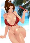  1girl beach bikini bra breasts brown_eyes brown_hair cleavage collarbone folding_fan hand_fan highres holding holding_fan lace-trimmed_bikini lace-trimmed_bra lace_trim large_breasts narrow_waist ponytail shiranui_mai sitting sk_(sk-g) solo swimsuit the_king_of_fighters toned underwear wide_hips 