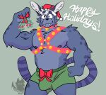  anthro bulge christmas christmas_clothing clothed clothing collar felid feline harness hi_res holidays male mammal mu_serval muscular muscular_male serval shirtless shirtless_male sleepygreymutt solo underwear underwear_only 