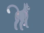  2023 blue_body blue_fur bluestar_(warriors) domestic_cat felid feline felis female feral fur genitals hi_res mammal pussy solo standing warriors_(cats) yogurtindd 