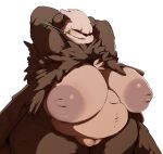  anthro areola big_breasts biped black_body breasts brown_body fangs female front_view generation_6_pokemon genitals hands_behind_head hi_res huge_breasts hurikata hyper hyper_breasts navel nintendo nipples pangoro pokemon pokemon_(species) pussy simple_background slightly_chubby solo teeth white_background 