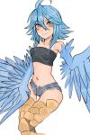  1girl absurdres ahoge black_tube_top blue_feathers blue_hair blue_wings breasts closed_mouth feathered_wings feathers feet_out_of_frame hair_between_eyes hair_over_shoulder harpy highres long_bangs looking_at_viewer medium_hair monster_girl monster_musume_no_iru_nichijou navel nebula_flabby open_fly papi_(monster_musume) short_shorts shorts sidelocks simple_background small_breasts smile solo strapless tube_top winged_arms wings yellow_eyes 