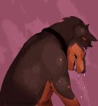  2023 anthro athletic athletic_anthro athletic_male bodily_fluids brown_body brown_fur brown_hair brown_nose brown_skin brunkdutt bustshot canid canine canis clothed clothing collar colored crying digital_drawing_(artwork) digital_media_(artwork) dobermann domestic_dog eyes_closed frown fur hair hunched_over kain_vanderhilt male mammal pinscher shaded simple_background solo standing tears teeth tohaha topless topless_anthro topless_male 