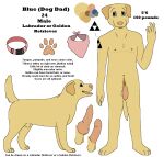  2015 aliasing animal_genitalia animal_penis anthro arm_tattoo balls bird_dog black_text blue_eyes bluekyokitty body_hair canid canine canine_genitalia canine_penis canis collar color_swatch digital_drawing_(artwork) digital_media_(artwork) domestic_dog english_text erection facial_hair feral flaccid flat_colors floppy_ears fully_sheathed fur genitals grey_sclera happy_trail humanoid_genitalia humanoid_hands humanoid_penis hunting_dog kerchief labrador male mammal mastectomy_scar model_sheet multiple_forms navel neckerchief nipples open_mouth pawpads penis pink_collar pink_kerchief pink_neckerchief pink_nose pink_pawpads pink_penis pink_scar pink_tongue plantigrade raised_tail retriever scar sebdoggo sheath simple_background solo standing stated_adult stated_age tail tattoo text tongue tongue_out trans_(lore) trans_man_(lore) triforce_tattoo white_background yellow_body yellow_fur 