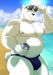  2023 anthro beach bear belly black_nose bodily_fluids bulge can clothing cloud container eyewear hi_res humanoid_hands kemono male mammal moobs musclegut navel nipples one_eye_closed outside overweight overweight_male polar_bear seaside solo sun sunglasses sweat swimwear tabo_bear ursine water white_body wink 