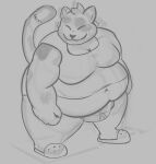  2019 anthro belly big_belly briefs bulge calico_cat clothing crocs digital_drawing_(artwork) digital_media_(artwork) domestic_cat eyes_always_closed eyes_closed felid feline felis footwear full-length_portrait fur grey_background guide_lines head_tuft hi_res kotto_(nobodyshouse) looking_aside male mammal midriff moobs muffin_top nobodyshouse obese obese_anthro obese_male overweight overweight_anthro overweight_male portrait shirt shoes simple_background sketch smile solo solo_focus standing t-shirt tail thick_thighs three-quarter_view topwear tuft underwear 