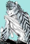  1boy absurdres animal_ears animal_nose bottle clothes_lift feather_necklace furry furry_male highres ixbalanque_(housamo) jaguar_boy jaguar_ears jewelry male_focus necklace shirt shubuka_masamune signature solo striped_fur tokyo_afterschool_summoners water_bottle white_shirt wiping_face 