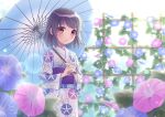  1girl black_hair blurry blush bokeh depth_of_field flower holding holding_umbrella ibuki_ena japanese_clothes kimono long_sleeves looking_at_viewer morning_glory obi oil-paper_umbrella original parted_lips purple_eyes sash short_hair solo sunlight trellis umbrella yukata 