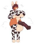  2021 animal_genitalia animal_penis animal_print anthro areola balls big_balls big_breasts big_penis biped breasts brown_areola brown_hair brown_penis cow_print dormio ear_piercing equine_genitalia equine_penis erection genitals gynomorph hair hi_res huge_balls huge_breasts huge_penis intersex lagomorph leporid mammal medial_ring penis piercing rabbit red_eyes rune4 solo 