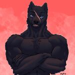  absurd_res anthro bared_teeth black_body blue_eyes canid canine canis flexing flexing_pec fluffy hi_res humanoid male mammal muscular muscular_male red_background scar shybird simple_background smile solo teeth weretober wolf zeke_(shybird) 