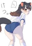  1girl absurdres animal_ears ass australian_devil_(kemono_friends) bent_over black_hair blue_buruma blush breasts brown_eyes buruma extra_ears eyepatch from_behind gym_shirt highres kemono_friends kemono_friends_3 kumasyan1998 large_breasts long_hair looking_at_viewer looking_back medical_eyepatch multicolored_hair open_mouth shirt simple_background socks solo tail tasmanian_devil_ears tasmanian_devil_tail 