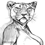  1:1 annoyed_expression anthro band1tnsfw black_and_white digital_drawing_(artwork) digital_media_(artwork) ear_piercing eyelashes facial_piercing felid female female_focus hi_res lion long_eyelashes looking_aside mammal monochrome nose_piercing nose_ring pantherine piercing portrait ring_piercing simple_background solo squinted_eyes whiskers 
