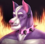  2021 acidwuff anthro blep blue_eyes bust_portrait canid collar dated ear_piercing facial_piercing fire_background front_view fur gauged_ear hi_res looking_at_viewer male mammal mouth_closed nose_piercing nose_ring piercing pink_collar pink_nose pink_tongue portrait purple_body purple_fur ring_piercing septum_piercing septum_ring signature solo spiked_collar spikes tongue tongue_out white_body white_fur 
