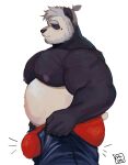  2023 absurd_res anthro areola bear beard biceps biped black_body black_fur bulge butt clothed clothing digital_media_(artwork) dressing eyebrows eyes_closed facial_hair fur giant_panda hair hi_res male mammal meme musclegut muscular muscular_anthro muscular_male nipples panda_(ruslorc) pecs putting_on_clothes ruslorc simple_background solo tight_pants_(meme) topless white_background white_body white_fur white_hair 