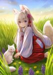  1girl absurdres animal animal_ear_fluff animal_ears bangs barefoot blush closed_mouth commentary_request day field flower folded_ponytail fox fox_ears fox_girl fox_tail full_body grass hair_between_eyes hakama hakama_skirt highres iroha_(iroha_matsurika) japanese_clothes kimono koyoi_(iroha_(iroha_matsurika)) long_hair long_sleeves looking_at_viewer miko original outdoors purple_eyes purple_flower red_hakama skirt smile solo tail very_long_hair white_hair white_kimono wide_sleeves yellow_flower 