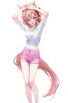  1girl animal_ears arms_up blue_eyes commentary_request highres horse_ears horse_girl horse_tail looking_at_viewer midriff navel open_mouth pink_shorts red_hair shirt short_hair short_sleeves shorts simple_background solo standing tail tied_shirt tks_(526tks) umamusume venus_park_(umamusume) white_background white_shirt 