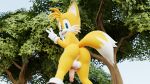  2_tails 3d_(artwork) anthro anus balls blender_(software) canid canine digital_media_(artwork) fox genitals gesture hi_res looking_at_viewer looking_back male mammal miles_prower multi_tail penis plant sega solo sonic_the_hedgehog_(series) tail tree twintails3d v_sign 