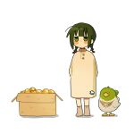  1girl bird blush_stickers box braid cardboard_box duck fuu_(ozu_(oz_yarimasu)) green_eyes green_hair guu_(ozu_(oz_yarimasu)) highres original ozu_(oz_yarimasu) potato twin_braids white_background 