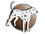  canid canine canis dalmatian dolar domestic_dog female feral fur hi_res male mammal solo spots spotted_body spotted_fur 
