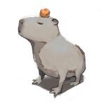  animal_focus capybara commentary dated_commentary food food_on_head fruit fruit_on_head highres mandarin_orange no_humans object_on_head original potatomochii simple_background white_background 