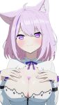  1girl :3 absurdres ahoge animal_ear_fluff animal_ears blush breasts cat_ears cleavage daydarion english_commentary hands_on_own_chest heart_on_chest highres hololive large_breasts long_sleeves looking_at_viewer medium_hair nekomata_okayu nekomata_okayu_(6th_costume) purple_eyes purple_hair simple_background solo upper_body virtual_youtuber white_background 