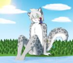  2017 anthro arma_(charityssongbird) canid canine canis clothed clothing digital_media_(artwork) dobermann domestic_dog duo extreme_size_difference felid female field fur green_eyes grey_body hair kina_heijima lake larger_male leopard light lying macro male male/female mammal markings moonlight nude pantherine pinscher plant red_hair runt_(charityssongbird) size_difference smaller_female smile snow_leopard spots spotted_body spotted_fur spotted_markings star sun sunlight swimwear tail tree water 