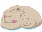  2018 3_toes 4:3 5_fingers anthro areola batspid2 belly big_belly big_breasts big_butt black_nose blue_eyes breasts butt cel_shading digital_drawing_(artwork) digital_media_(artwork) eyebrows eyelashes eyewear feet female fingers flabby_arms front_view full-length_portrait fur glasses huge_breasts huge_butt huge_thighs hyper hyper_belly hyper_breasts hyper_butt hyper_hips hyper_thighs immobile lagomorph leporid loa_(batspid2) mammal morbidly_obese morbidly_obese_anthro morbidly_obese_female nipples nude_anthro nude_female obese obese_anthro obese_female overweight overweight_anthro overweight_female pawpads pink_areola pink_nipples portrait puffy_nipples rabbit shaded shadow signature simple_background sitting smile solo tan_body tan_fur thick_thighs three-quarter_view toes white_background 